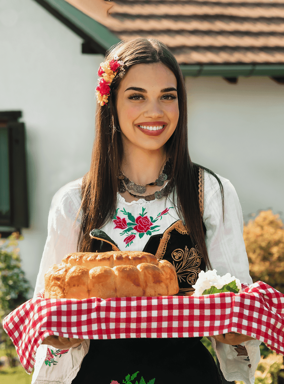 Read more about the article Tradicionalna srpska jela